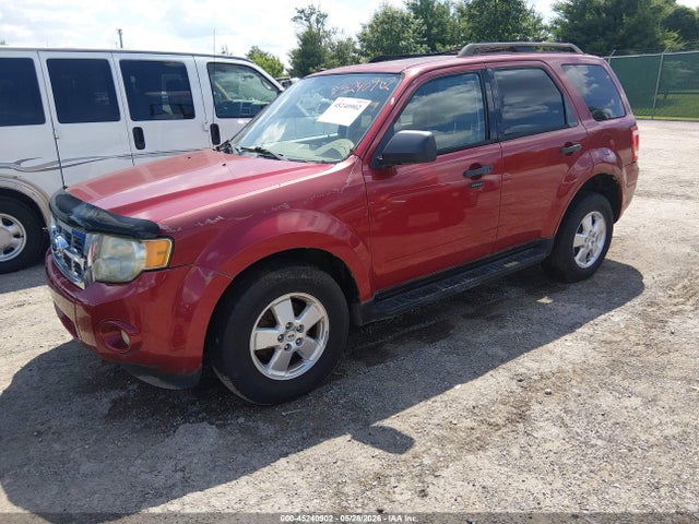 Ford Escape Xlt