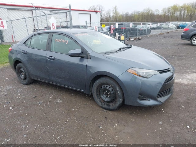 Salvage Toyota Corolla Image