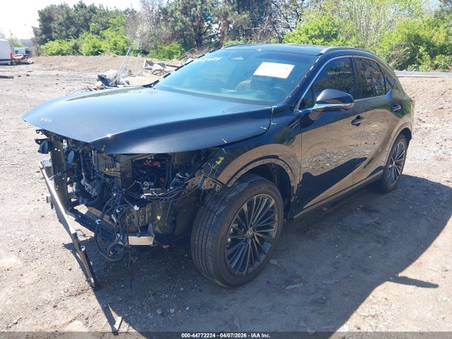 Lexus RX Premium