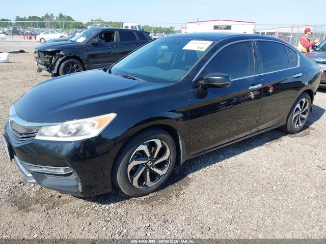 Honda Accord Ex-l