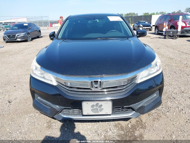 Honda Accord Ex-l