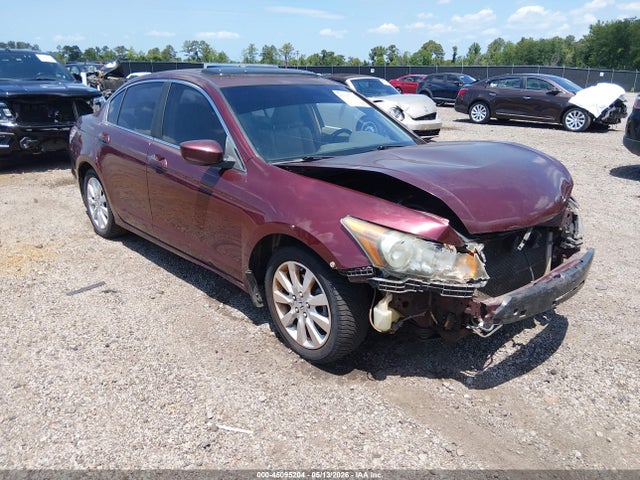 Salvage Honda Accord Image