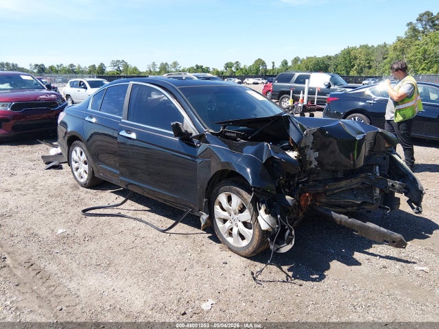 Salvage Honda Accord Image