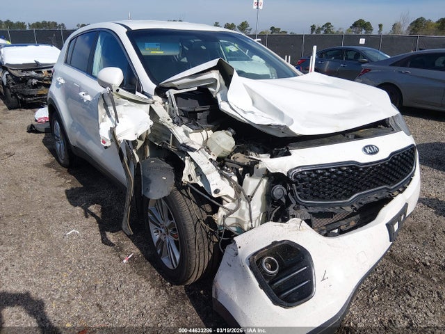 Salvage Kia Sportage Image