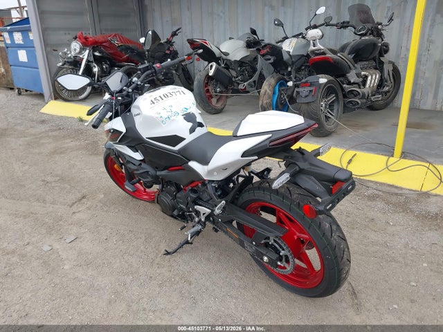 Kawasaki Er500