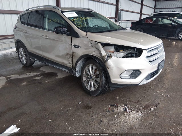 Salvage Ford Escape Image