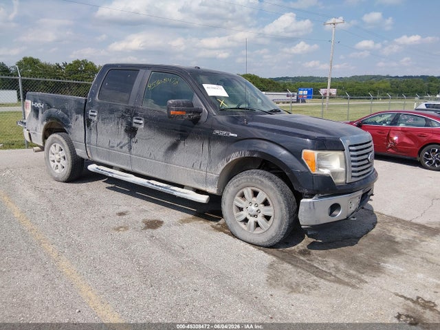 Salvage Ford F-150 Image