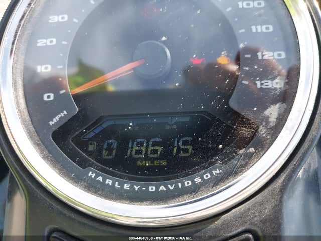 Harley-Davidson Flfbsanv