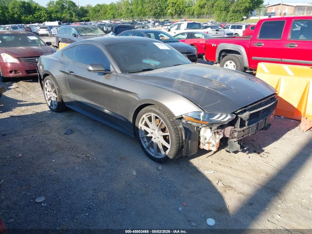 Salvage Ford Mustang Image