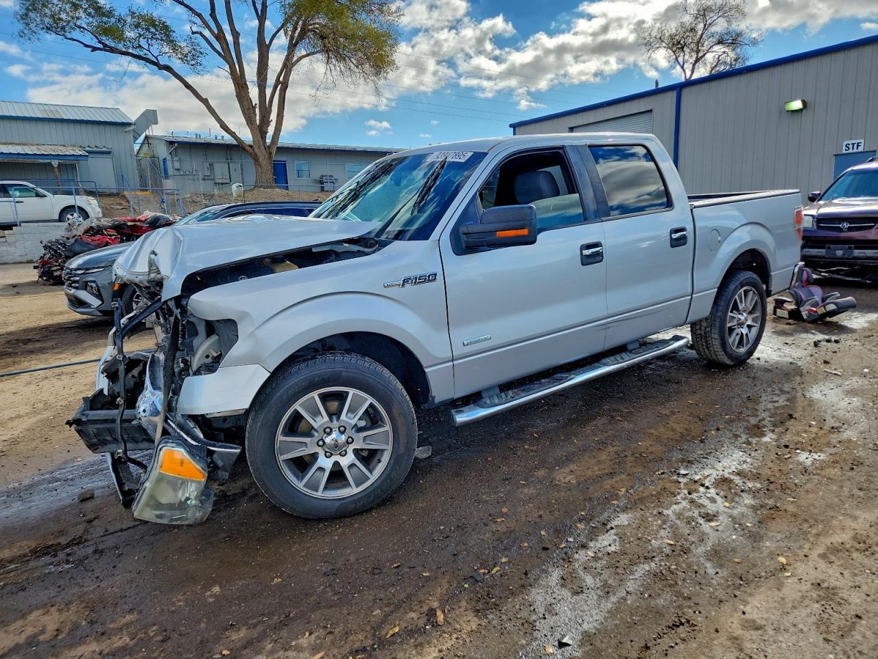 Salvage Ford F-150 Image