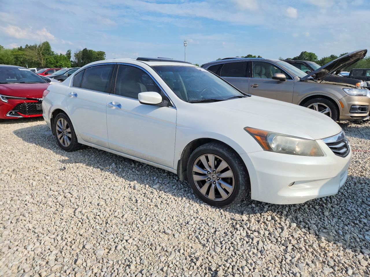 Honda Accord Exl