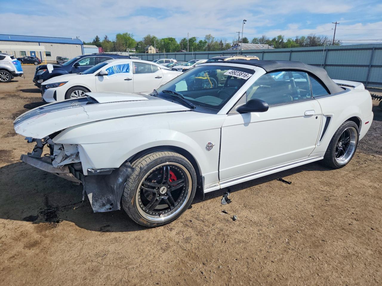 Salvage Ford Mustang Image