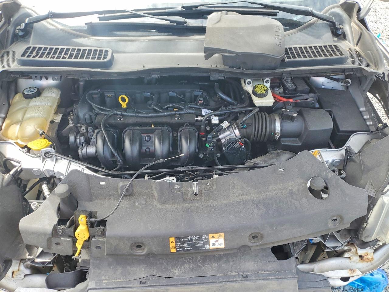 Ford Escape S