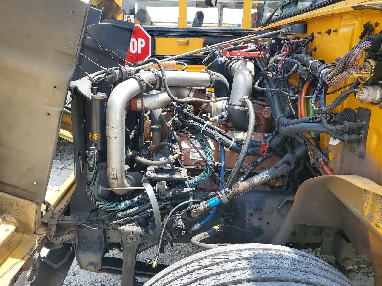 Icrp 3000