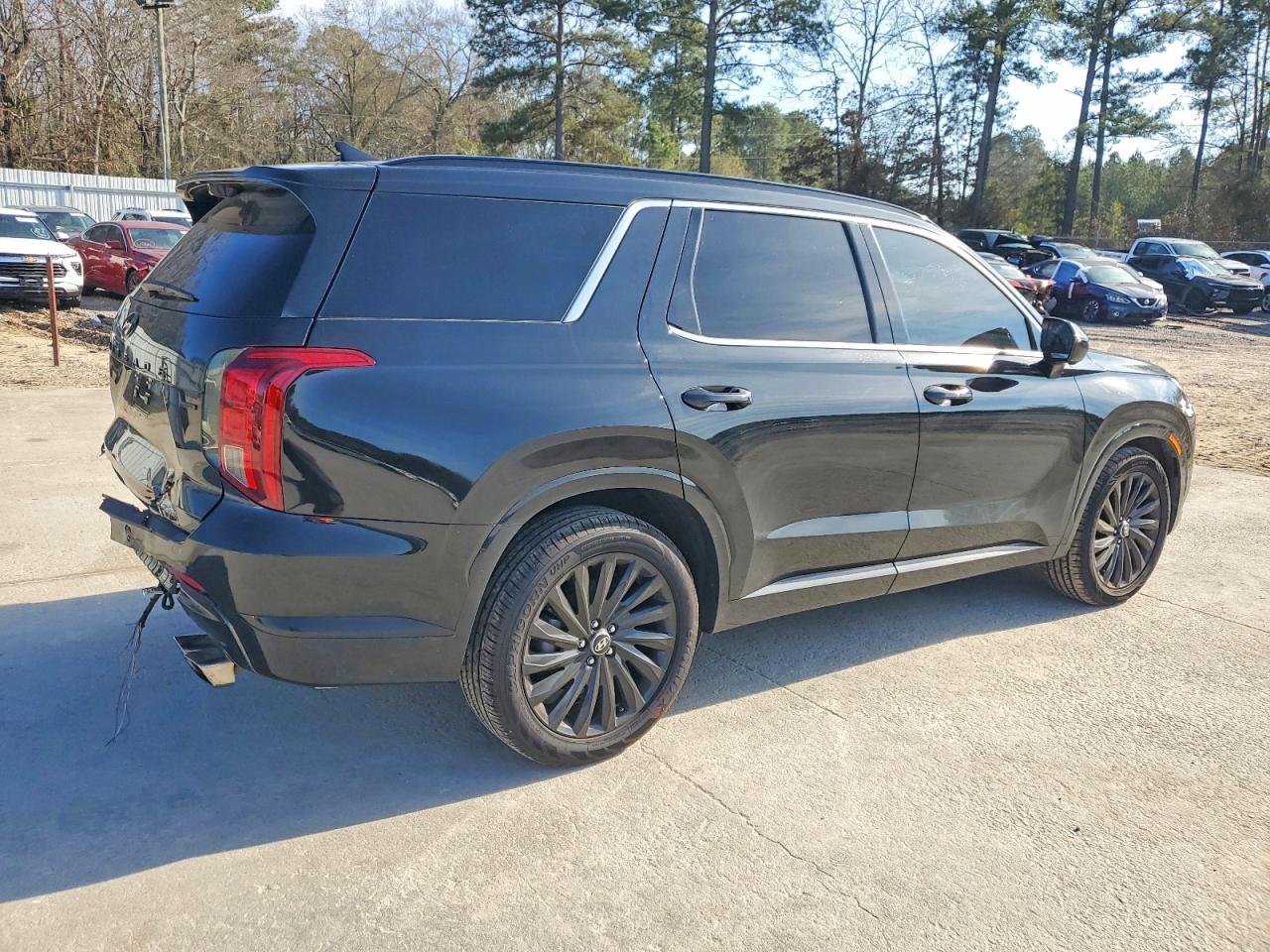 Hyundai PALISADE Calligraphy