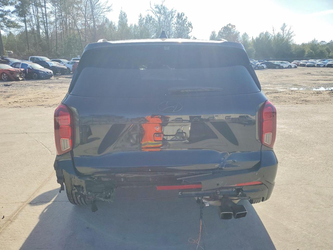 Hyundai PALISADE Calligraphy