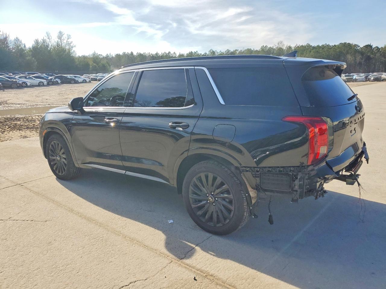 Hyundai PALISADE Calligraphy