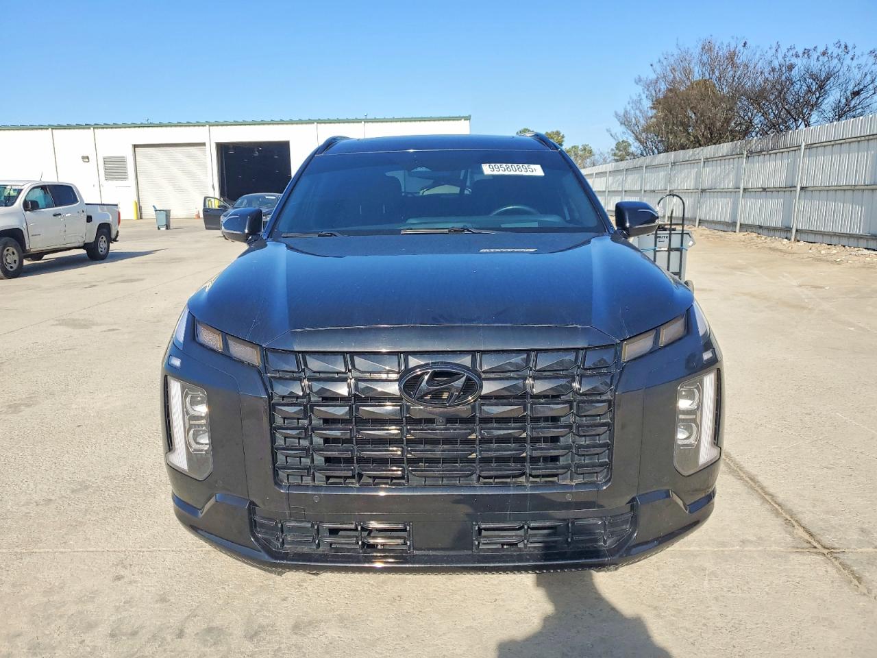 Hyundai PALISADE Calligraphy