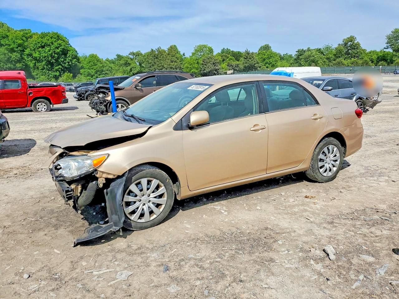 Salvage Toyota Corolla Image