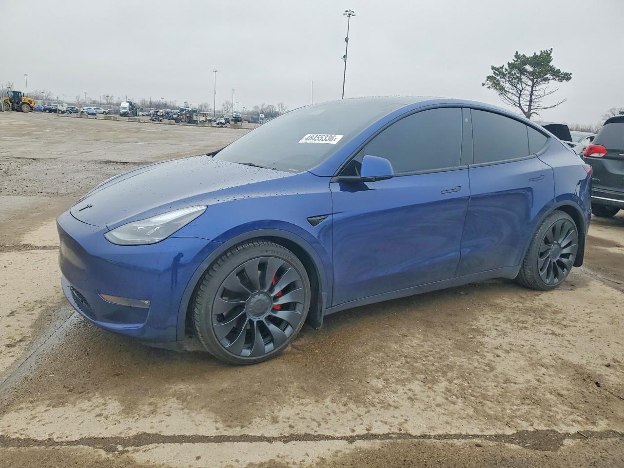 Salvage Tesla Model Y Image