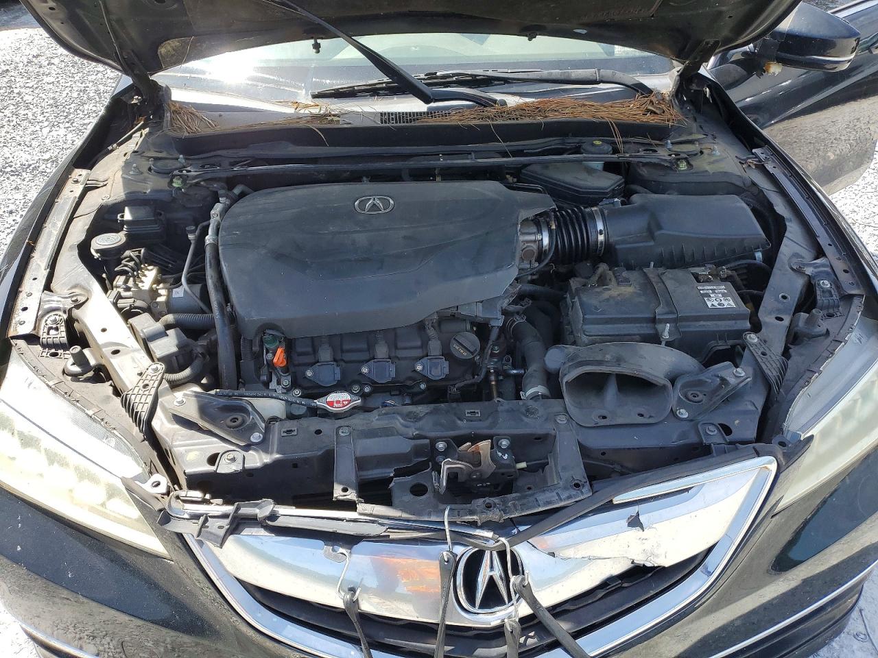 Acura TLX