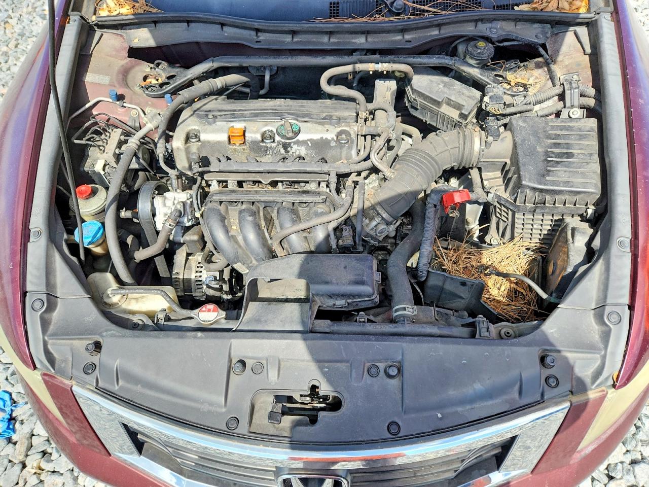 Honda Accord Ex
