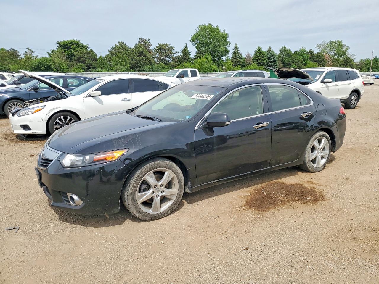 Salvage Acura TSX Image