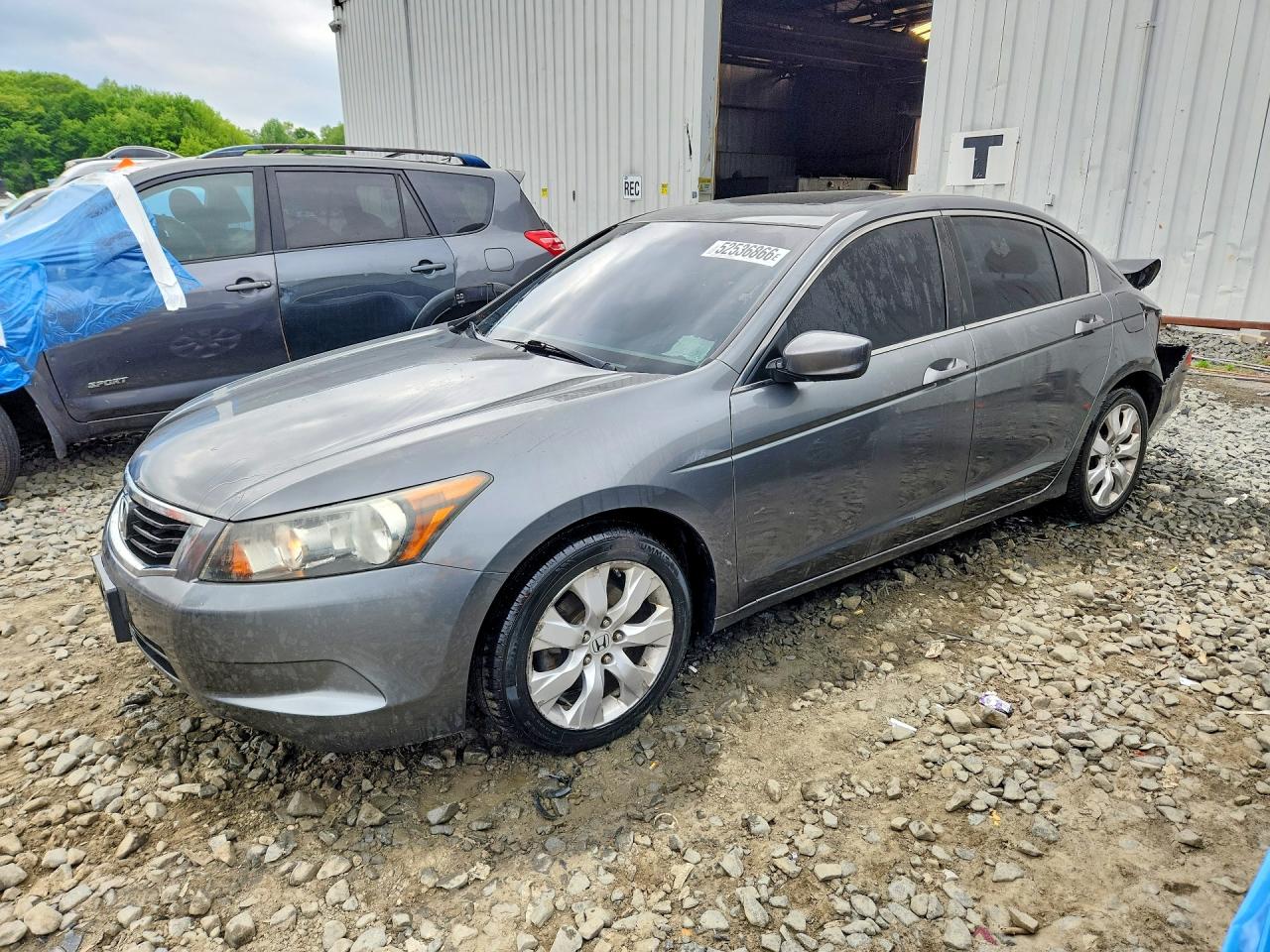 Salvage Honda Accord Image