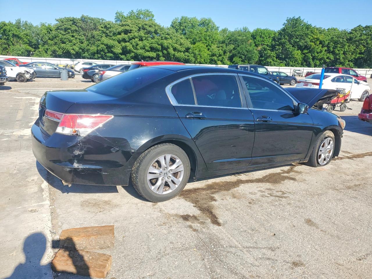 Honda Accord Lxp