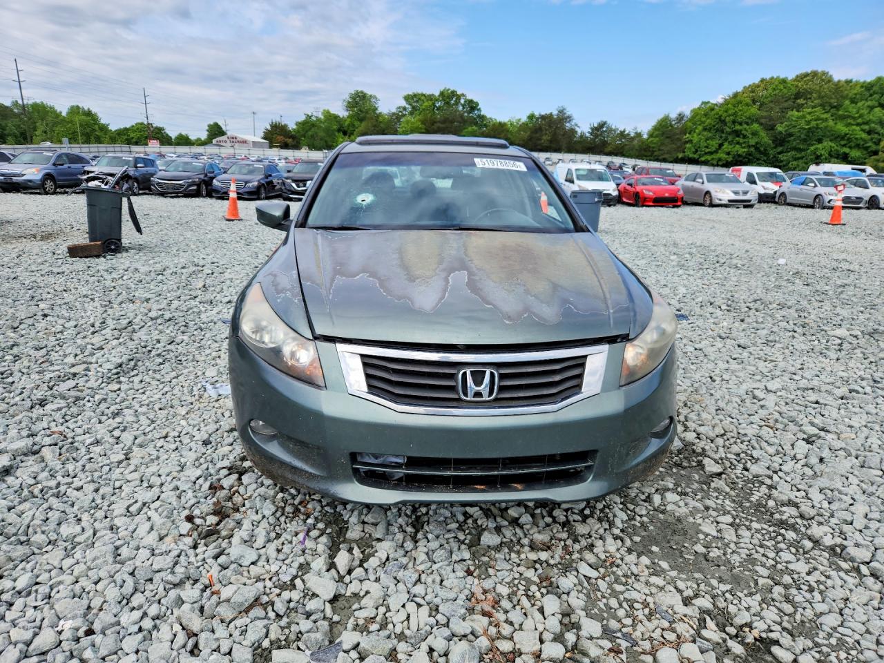 Honda Accord Exl