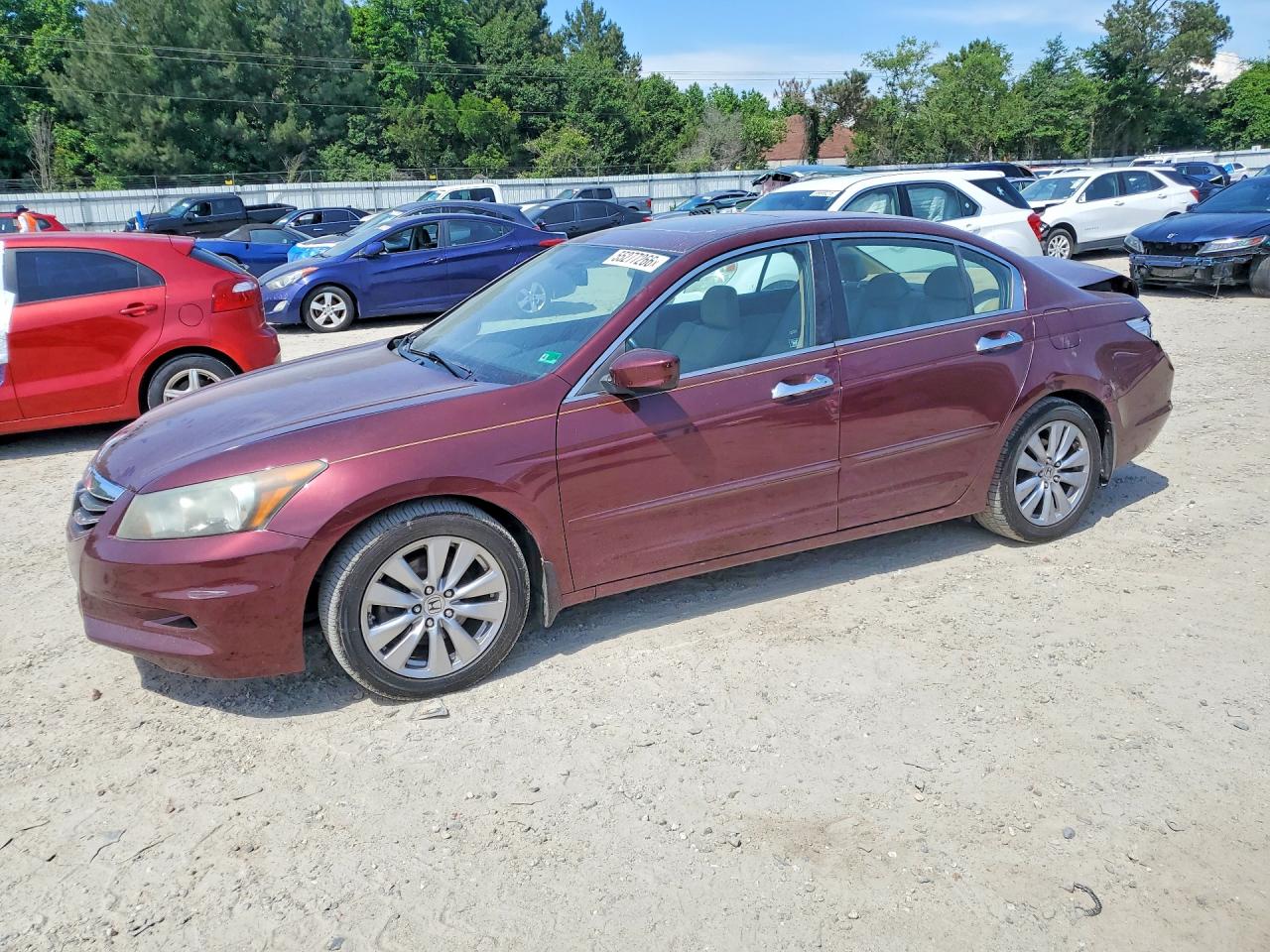 Salvage Honda Accord Image