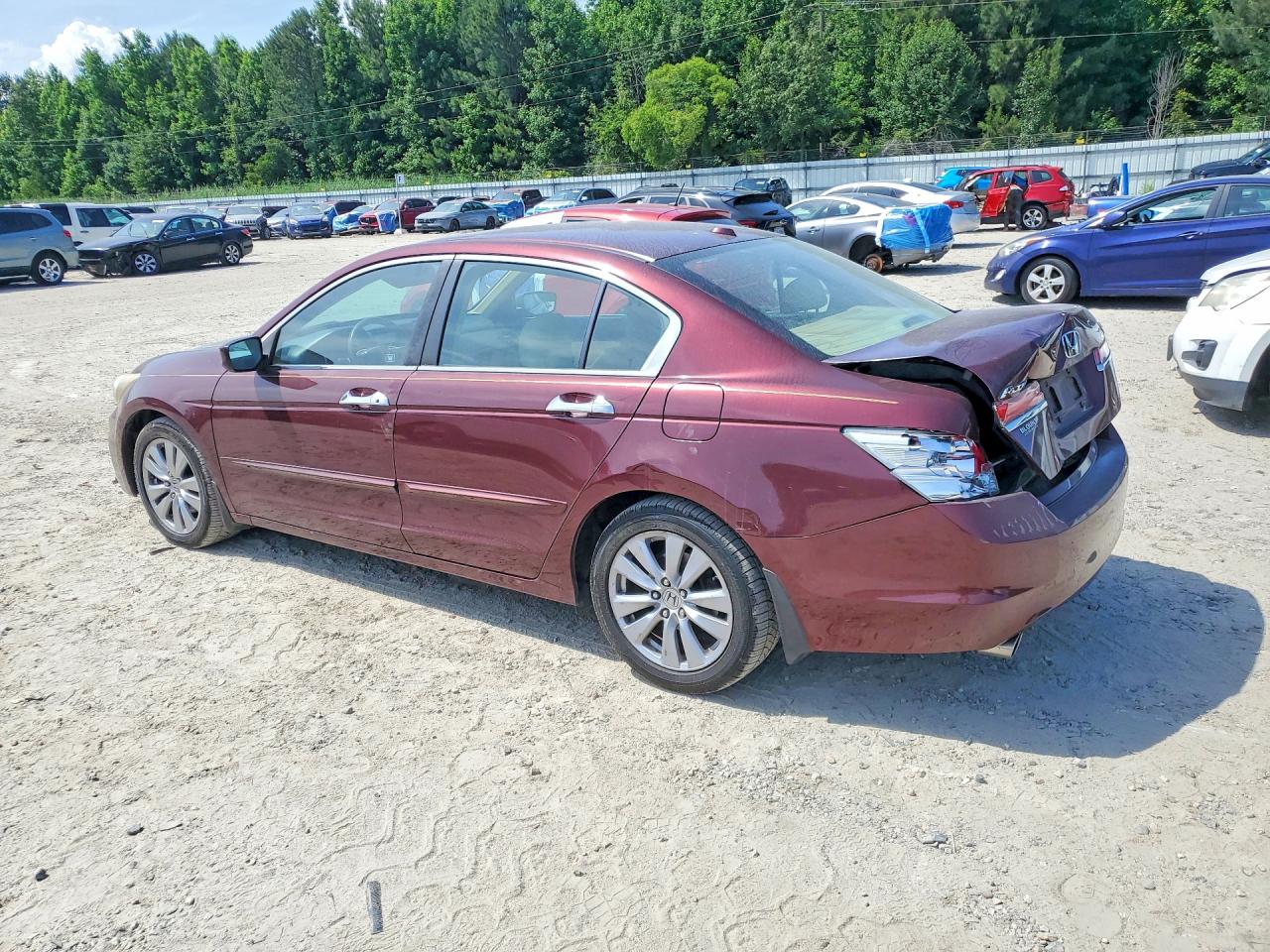 Honda Accord Exl