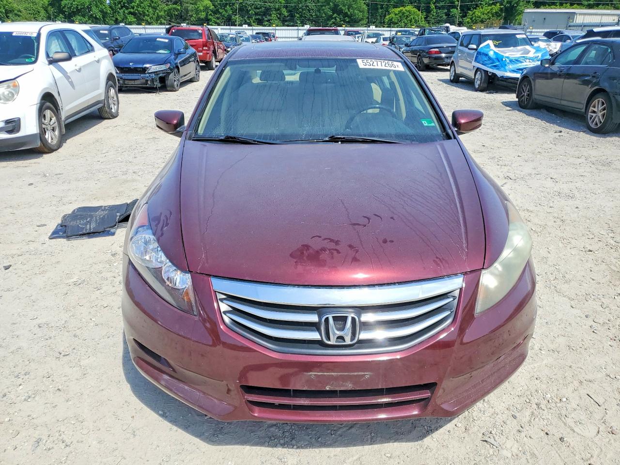 Honda Accord Exl