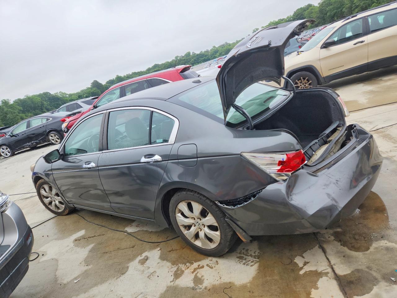 Honda Accord Exl