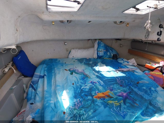 Glacier Bay 26