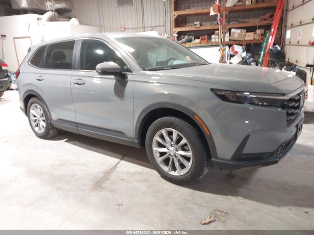 Salvage Honda CR-V Image