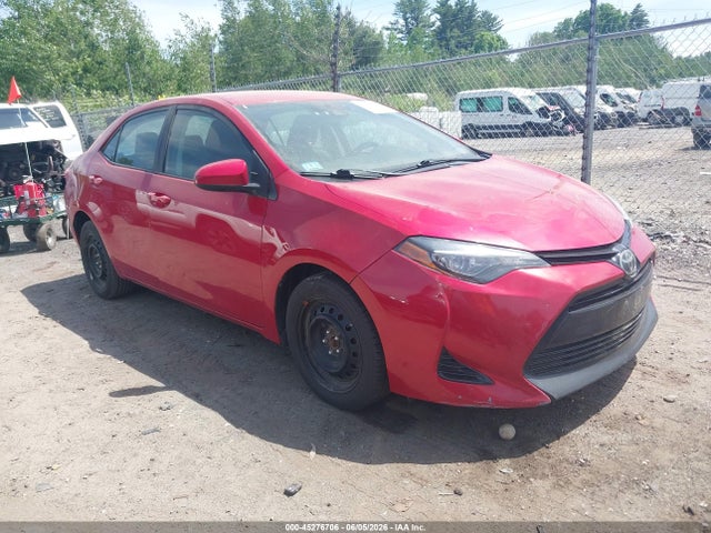 Salvage Toyota Corolla Image