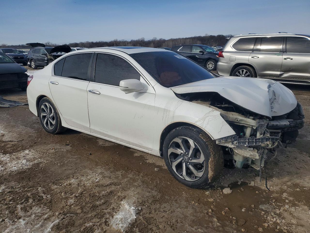 Honda Accord Exl