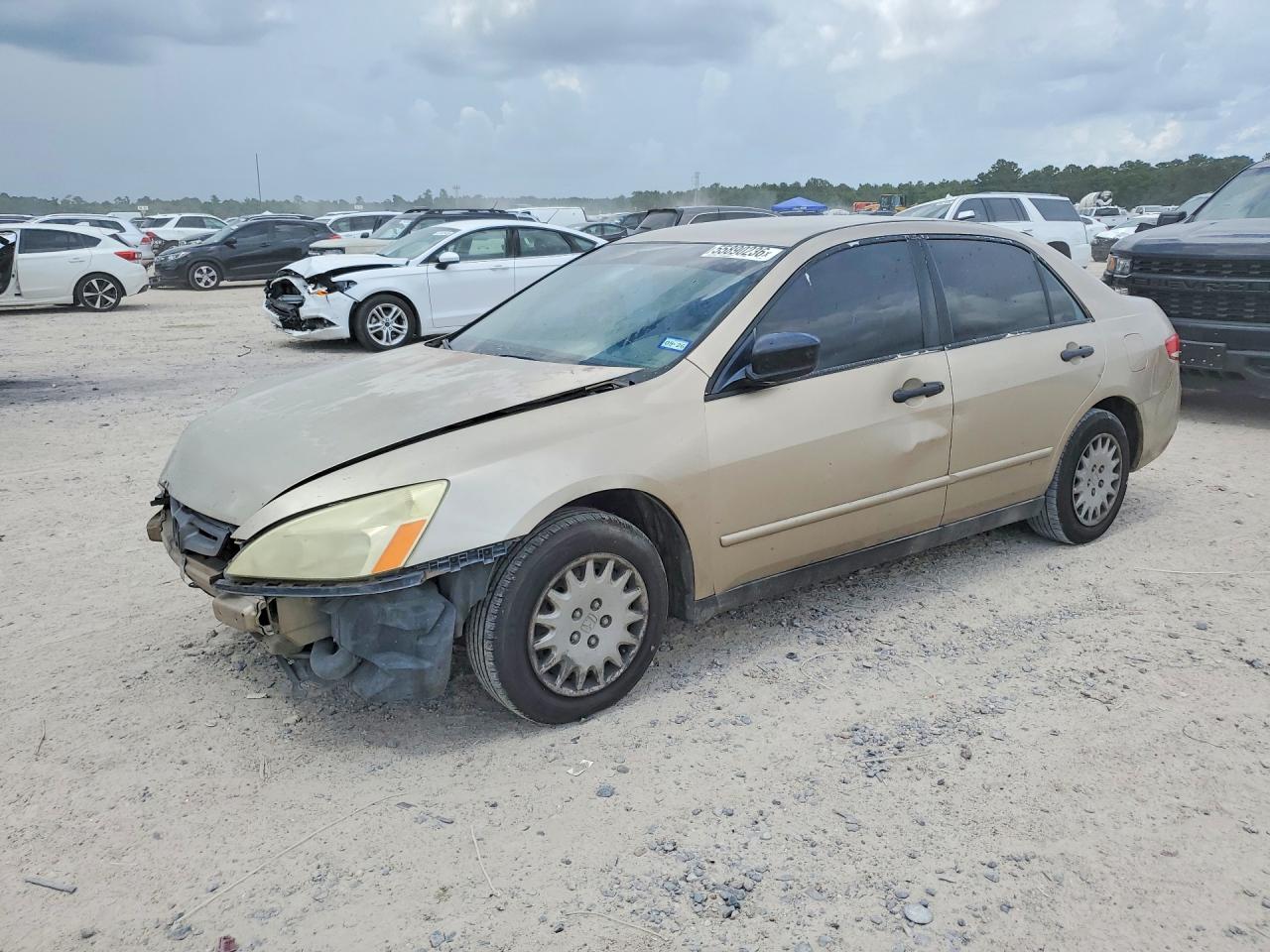 Salvage Honda Accord Image