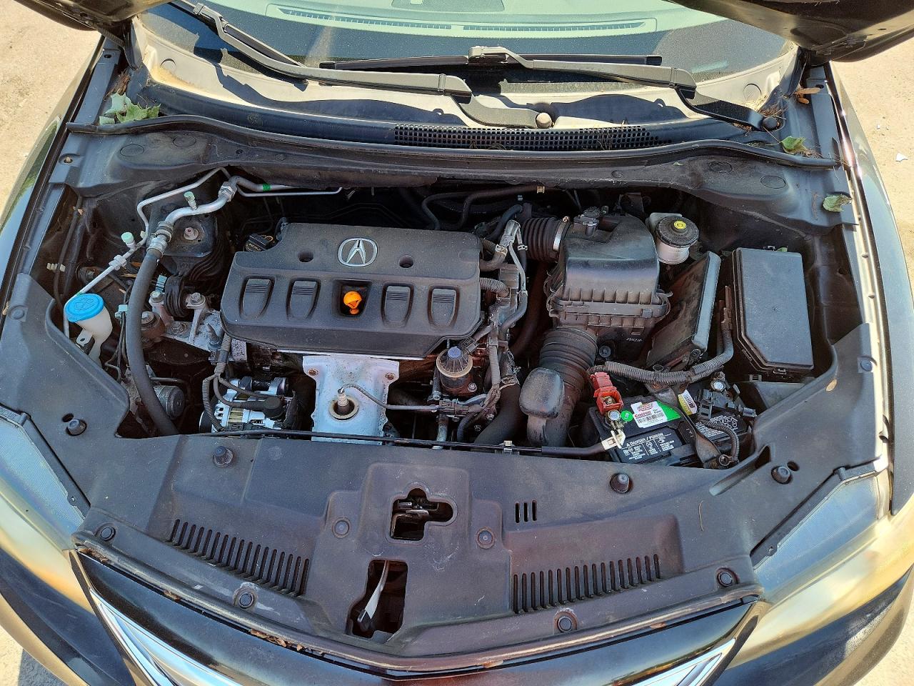 Acura ILX 20 Premium