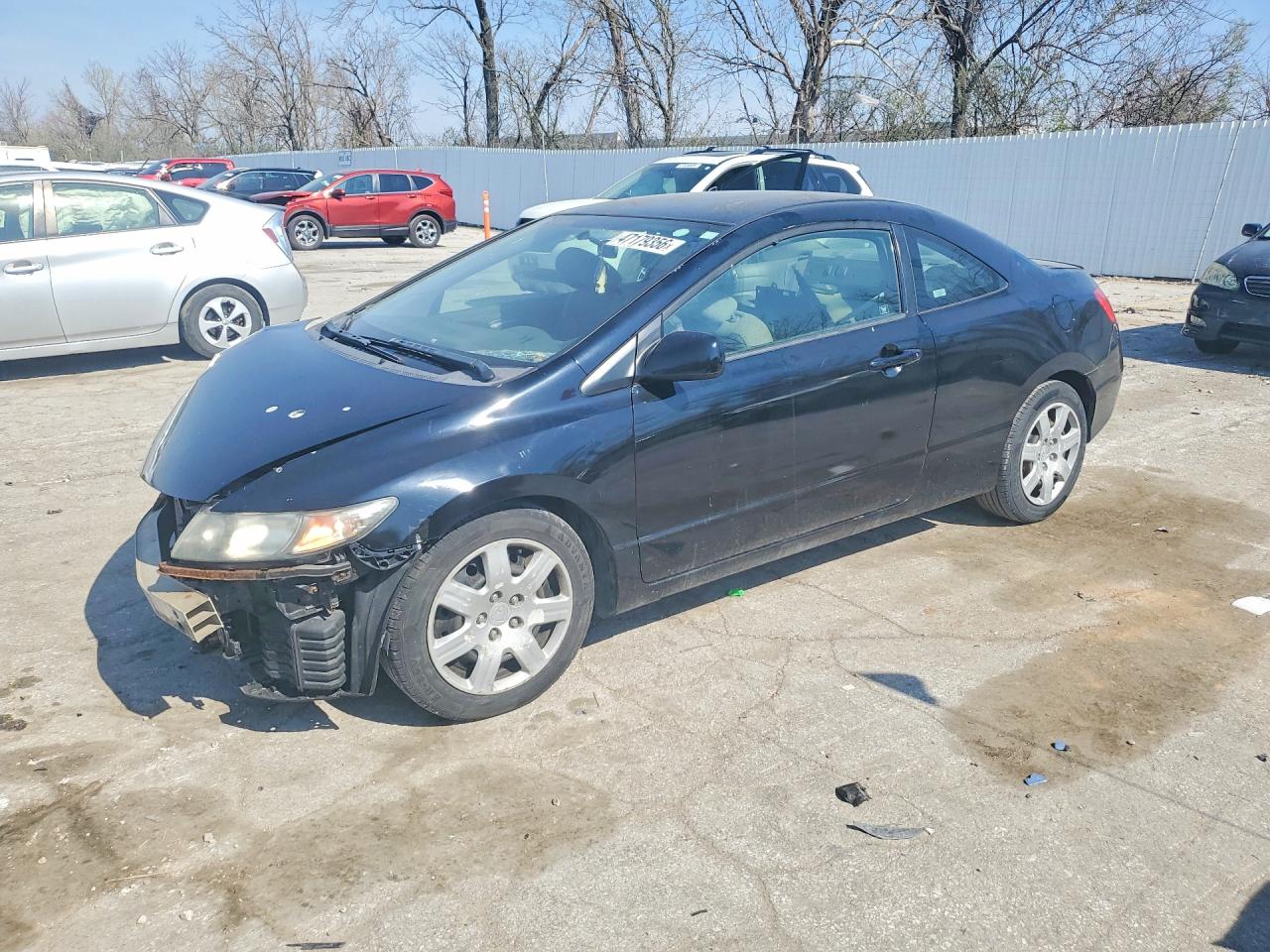 Salvage Honda Civic Image
