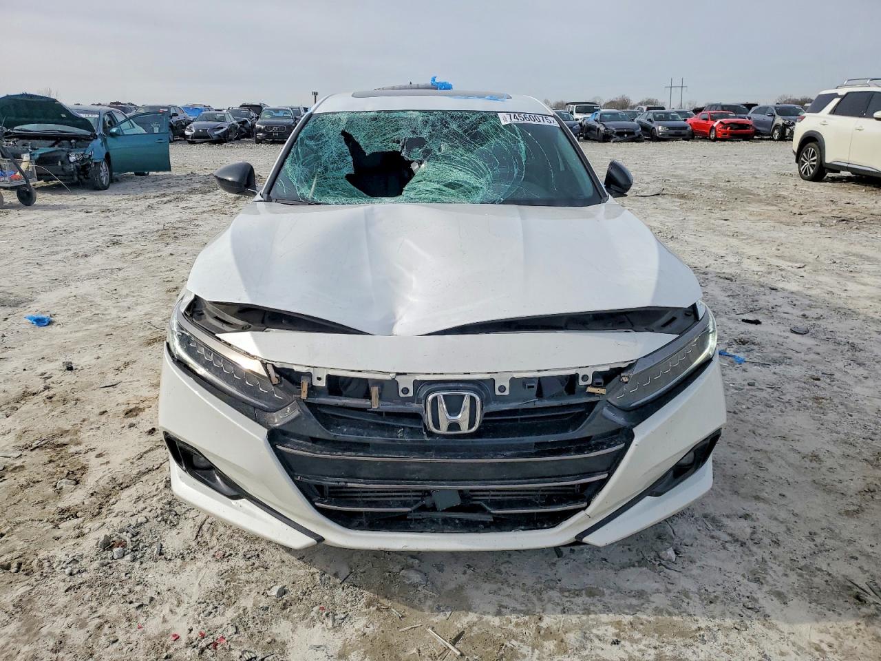 Honda Accord Sport