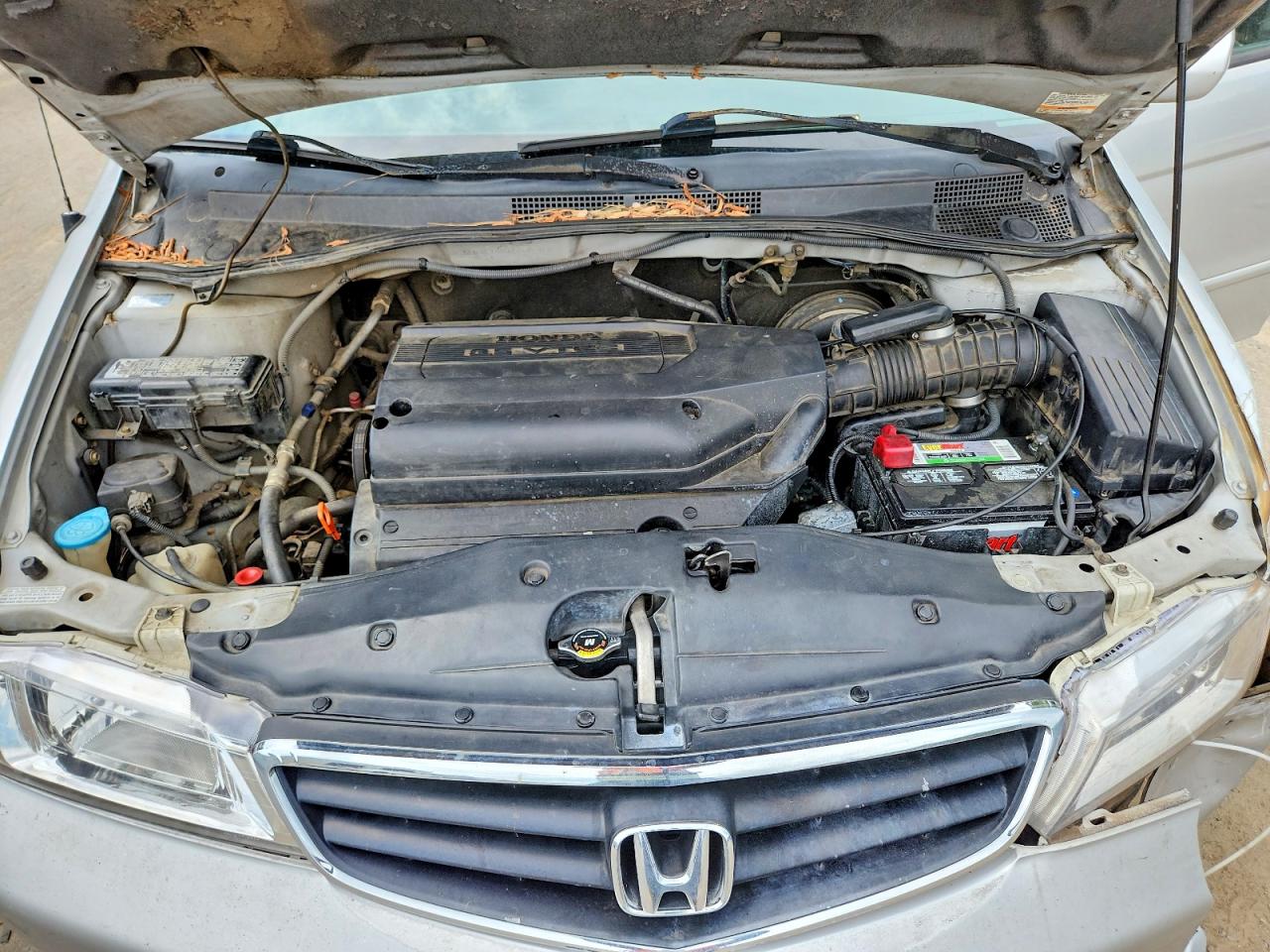 Honda Odyssey Ex