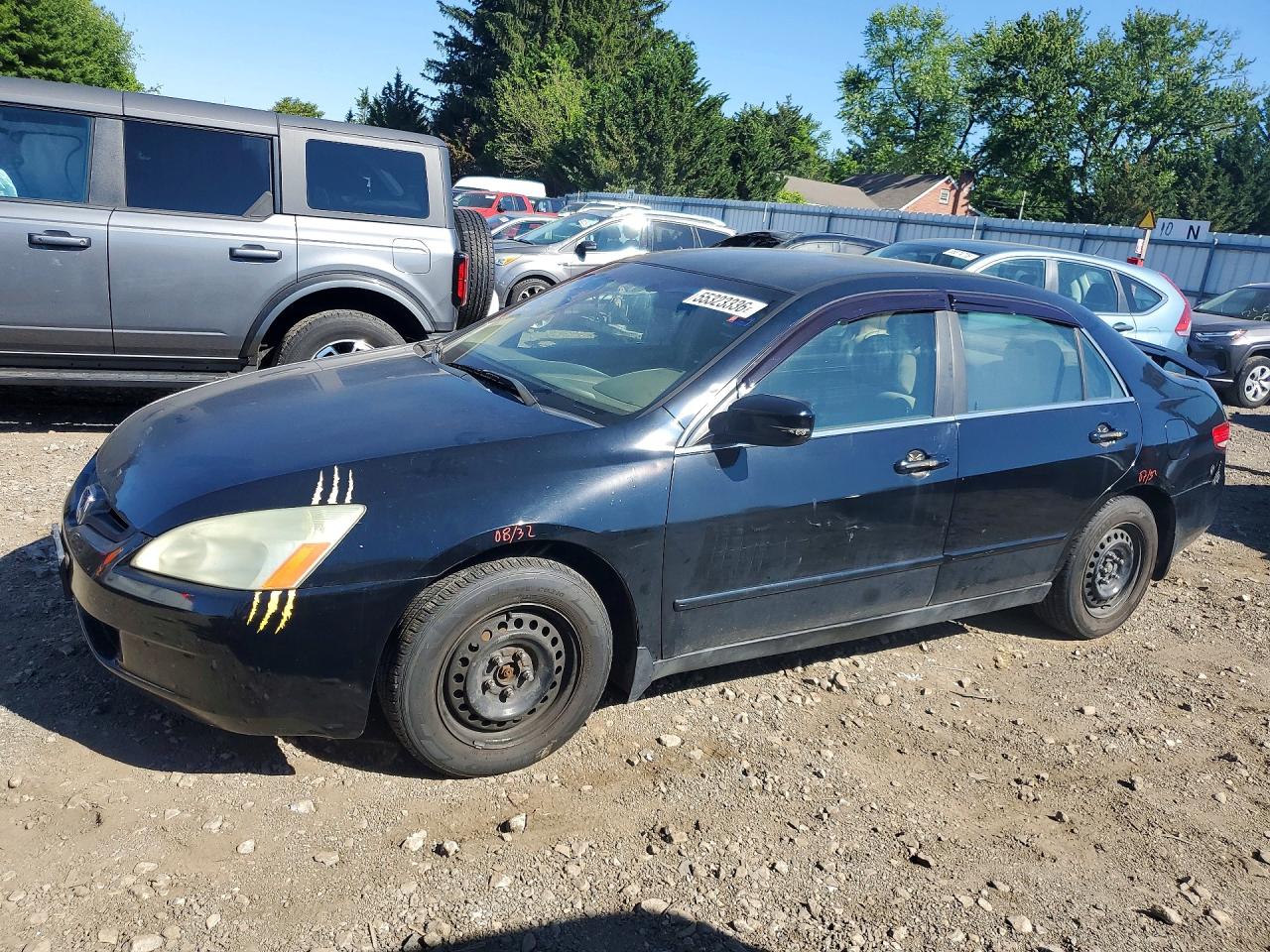 Salvage Honda Accord Image