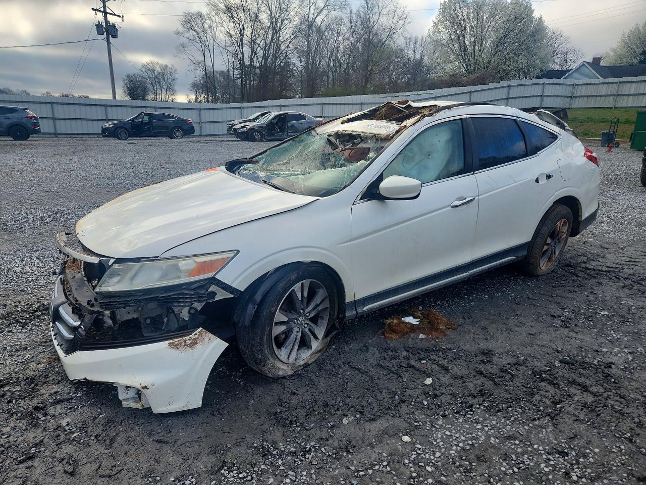 Salvage Honda Crosstour Image