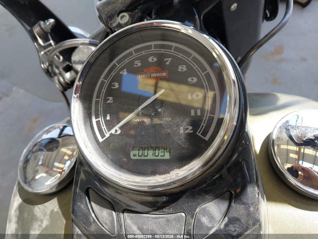 Harley-Davidson Flss