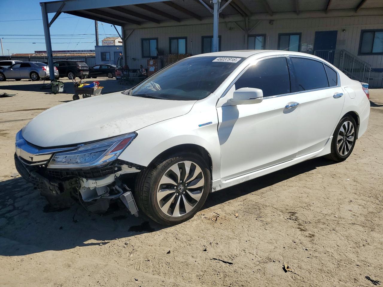 Salvage Honda Accord Image