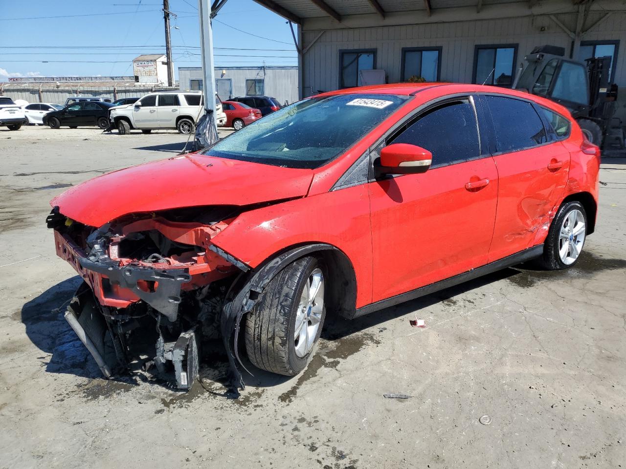 Salvage Ford Focus Image