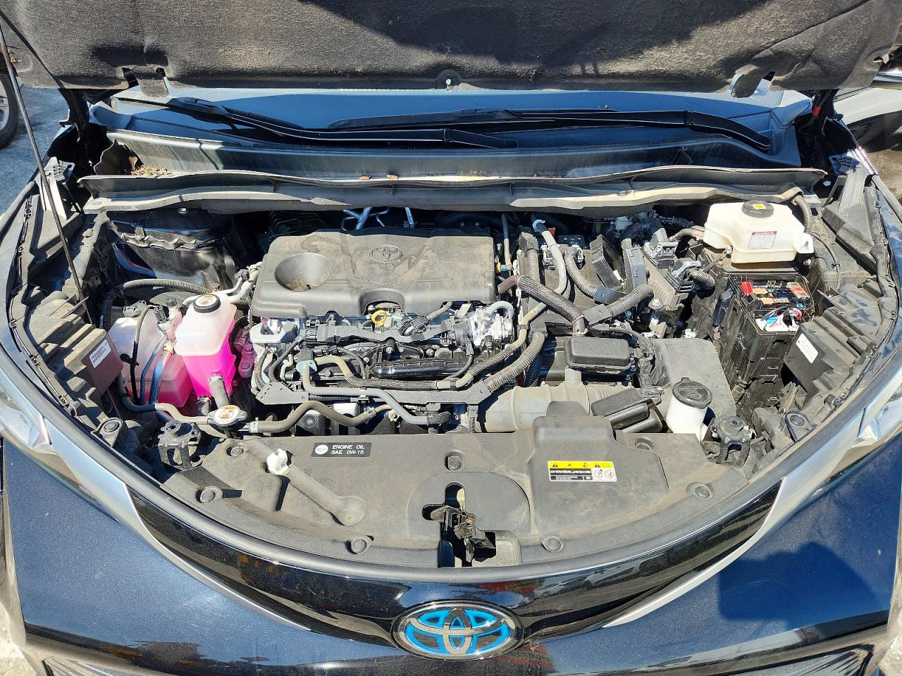 Toyota Sienna Platinum 7-passenger