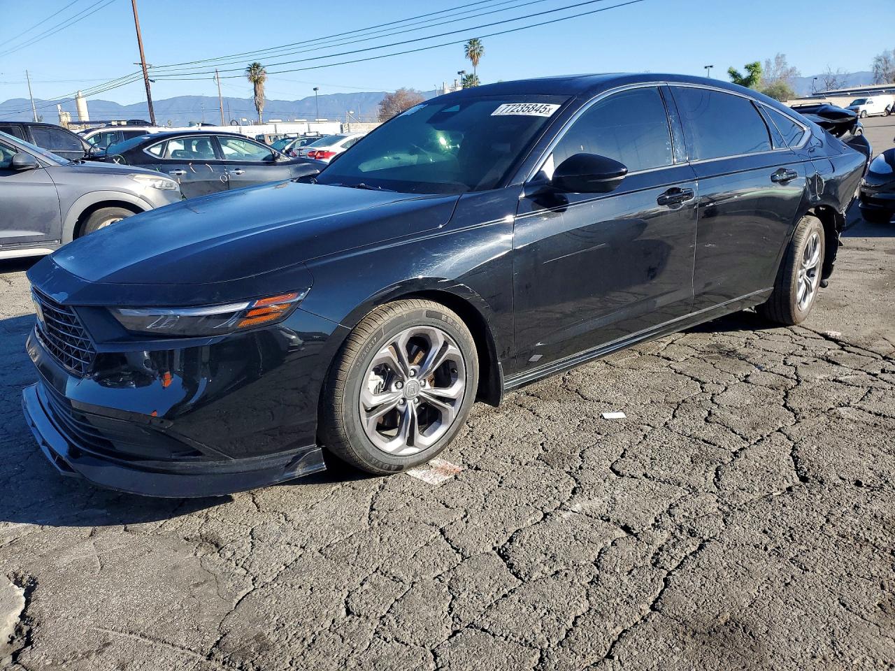 Salvage Honda Accord Image